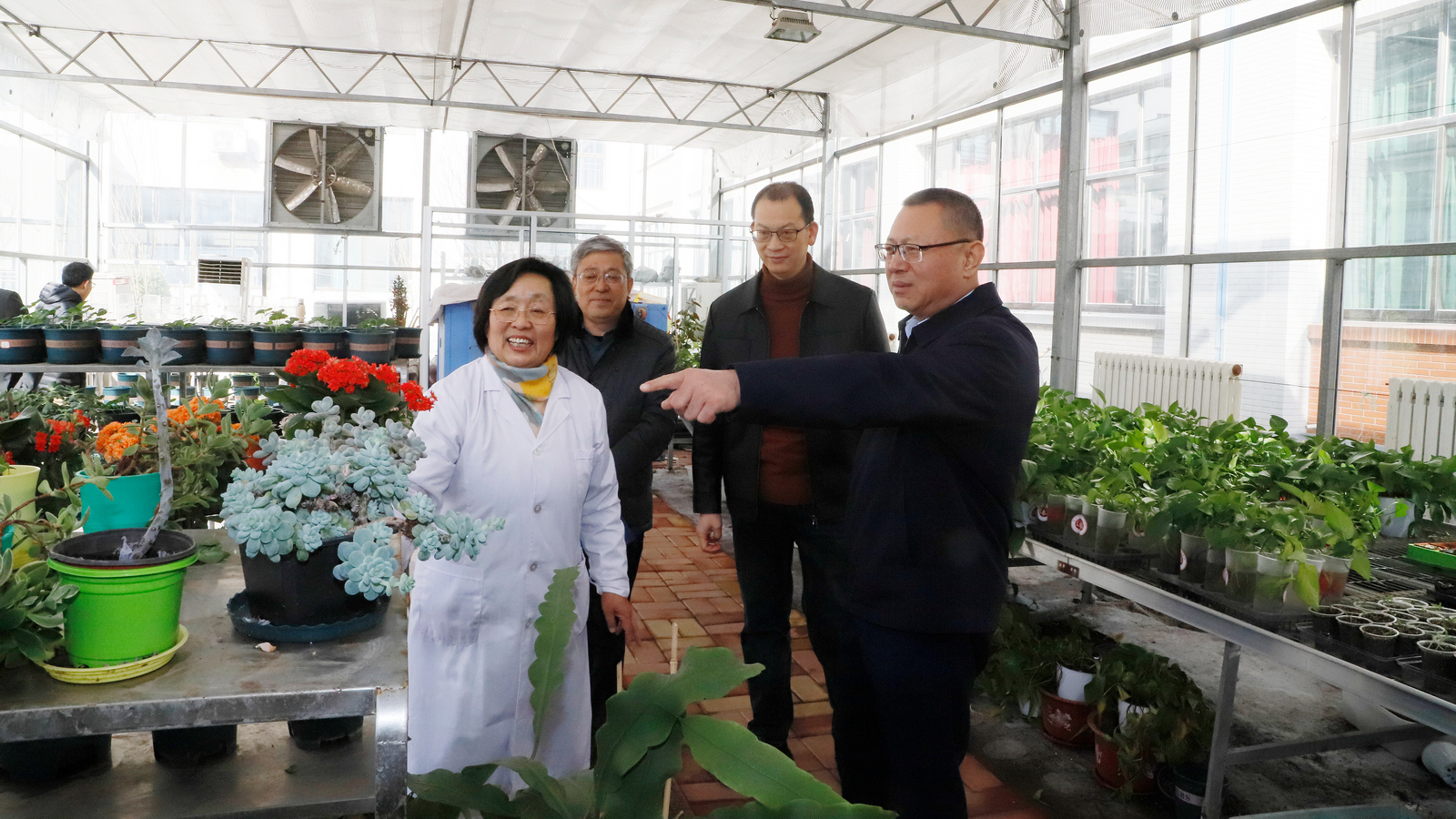 手机版BBIN下载